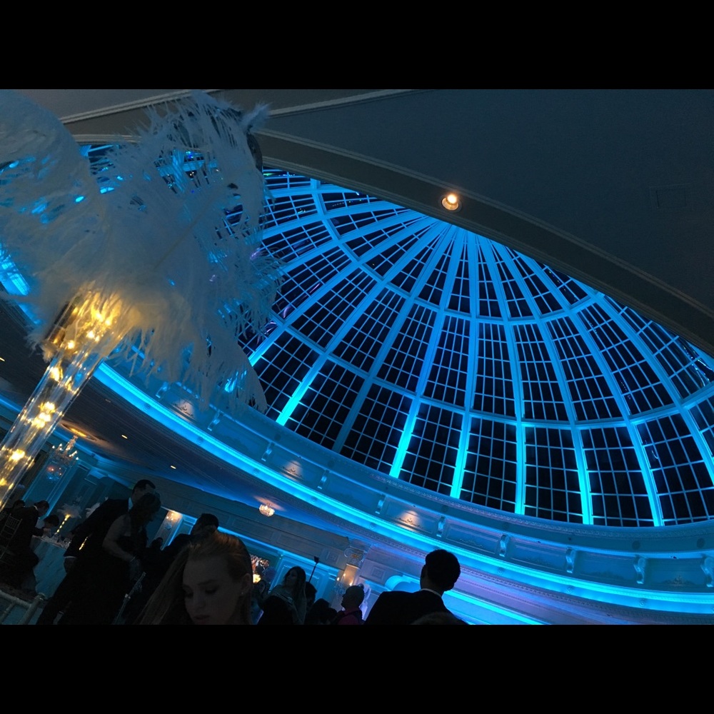 Meet your Posher, Gianna